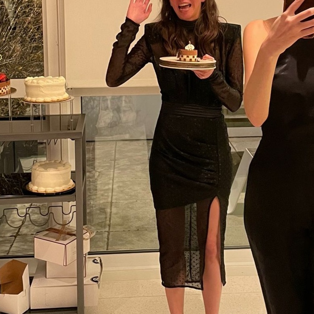 Zhivago Black Sheer Dress - Picture 4 of 6